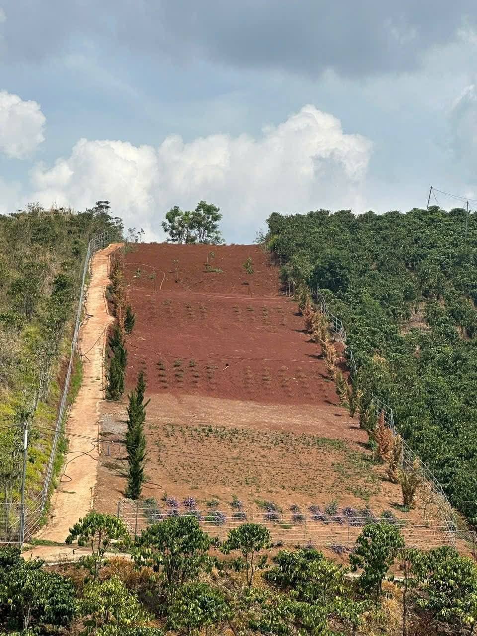 Giảm giá Bán gấp Đất view đẹp tại Tà Nung, Đà Lạt 2537m2 giá 4 tỷ - Ảnh chính